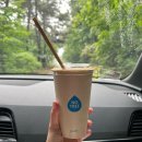 캠핑기록🌱