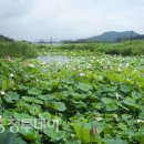 충남) 한적한 도시..온천과 문화의 만남~~아산 여행^^ 이미지