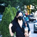 티파니&펫 이미지