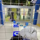 광동지역아동센터 | 260425 서울형키즈카페 관악구행운동점 7살 후기