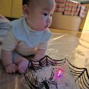 문화콩나물 | 이마트 문화센터 애기똥풀 6개월 아기 수강 후기 (콩나물,파라슈트,천사채)