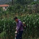 아침농장 이미지