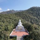 미다스카 | [태국 북부 여행] 치앙마이에서 빠이 가는 법🚐 미니밴 vs 렌트카 비교｜멀미약 필수! 현실 후기까지