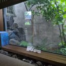 보스케 (Bosque) | 온전한 쉼을 위한 선택, 제주 스테이보스케 자쿠지 &amp; 다실 후기