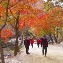 강천산 산행 동영상 - 가을 우체국 앞에서 이미지