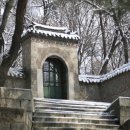 H8079 Daum카페