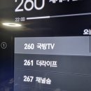 성인채널방송은 260번입니다 이미지