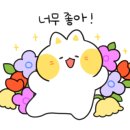 탑(TOP)태권도 체육관 이미지