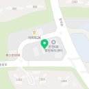 깐부치킨파주초롱꽃