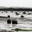 성산일출하우스 이미지