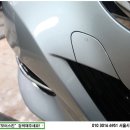모터스킨
