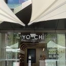 요치 | 시드니여행 중 꼭 먹어본 시드니디저트 요치 솔직 후기