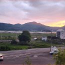 하루키친 이미지