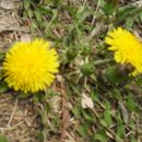 동부여성문화회관 이미지