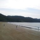 나도 시인 이미지