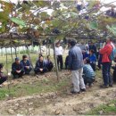 연흥농장 이미지