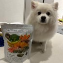 그린키친 | 강아지밥꾸 고민 끝! 강아지화식 + 강아지후코이단 리얼 급여 후기 [알로키친 후코그린]