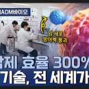 ㈜카렉스 서수원점 | 🐕‍🦺간추린 과학기술 뉴스제목모음 🎏13:05