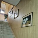 아이드림펫 이미지