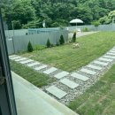 사시장청 티스토리