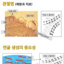오케이바이오 이미지