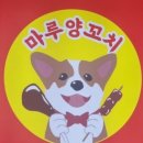 마루죽도양꼬치