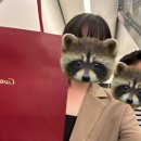 (주)코마켓 이미지
