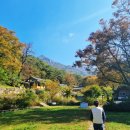 덕주사화장실 이미지