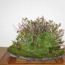 유달초등학교 이미지