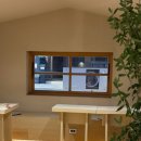 올리브 애견 | 경주 황리단길 [올리브] | 애견동반 가능한 경주 한옥카페 ꕤ ྀི