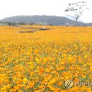 사단법인 제주마을문화진흥원 이미지