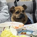 두호경로당 이미지