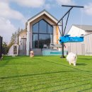 댕댕이의 하루 이미지