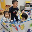 미니볼풀장~ 이미지