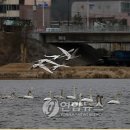 탐진환경 이미지