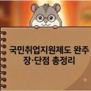 국민취업지원제도 6회차 최종 완주 후기: 알바 대신 국취제를 선택한 이유 (장단점 총정리)