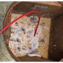 신평경로당 이미지