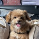 재순농장 이미지