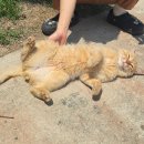 칠갑산계곡펜션 이미지