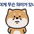 행복켄넬 이미지