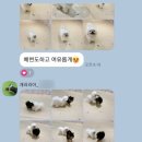 개러리아 송파점 이미지