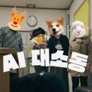 경포대초등학교 이미지