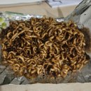 UR(포항시)-[중앙로]-하-21 | 10月