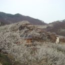 명인농장 이미지