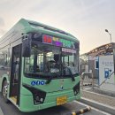 태안여객자동차터미널 | 태안·서산 가볼만한곳 총정리 | 해미읍성·수선화축제·해미천 벚꽃 개화현황 (2026년 4월 봄데이트)