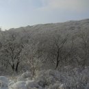 2월25일(화)[07:00출발]전남 광주 무등산(해발1,187m) 규봉암,새인봉,증심사 눈꽃산행 이미지