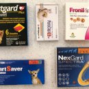 봄사랑약국 이미지