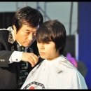 쇼엔헤어 Daum카페