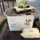 (주)삼정내츄럴 | 금요일입니다 소리질러