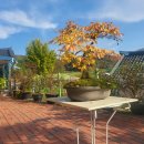 장성 축령산 (옥외5) | 가을 단풍 속 힐링 타임! 축령산 편백 하우스 에서 (장성군 북일면 펜션)